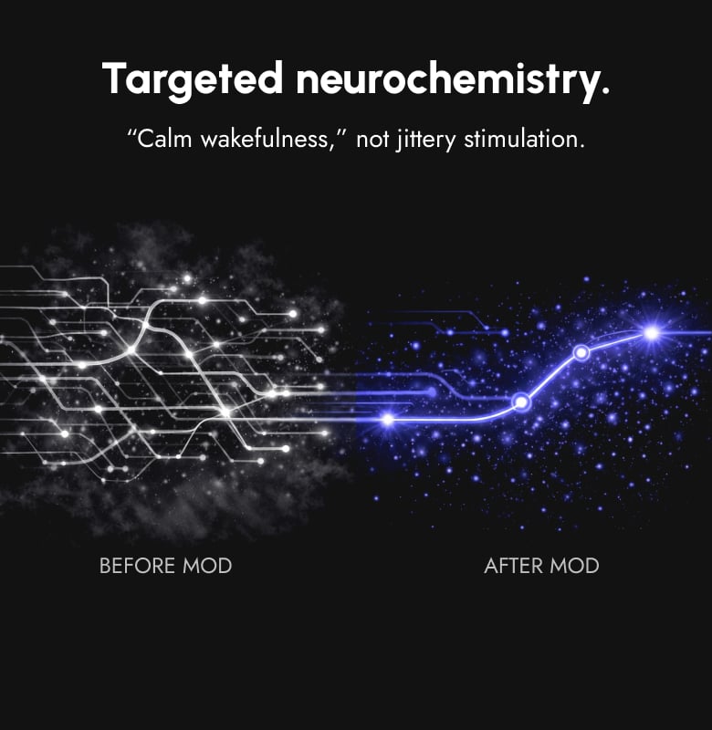 MOD ALERT is designed to support calm, steady wakefulness through targeted neurochemical action