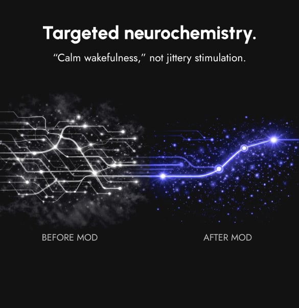 MOD ALERT is designed to support calm, steady wakefulness through targeted neurochemical action